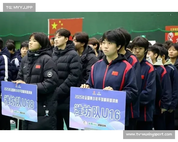 手球赛事运营职业化进程加速，联赛品牌价值待挖掘