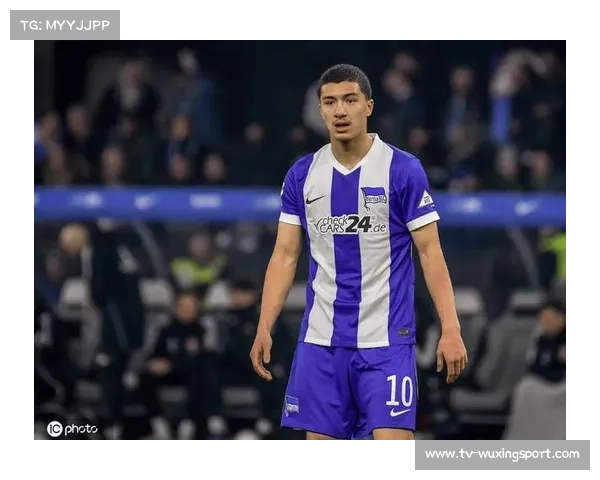 勒沃库森敲定塞尔维亚锋线新星，总转会费最高可达800万欧元